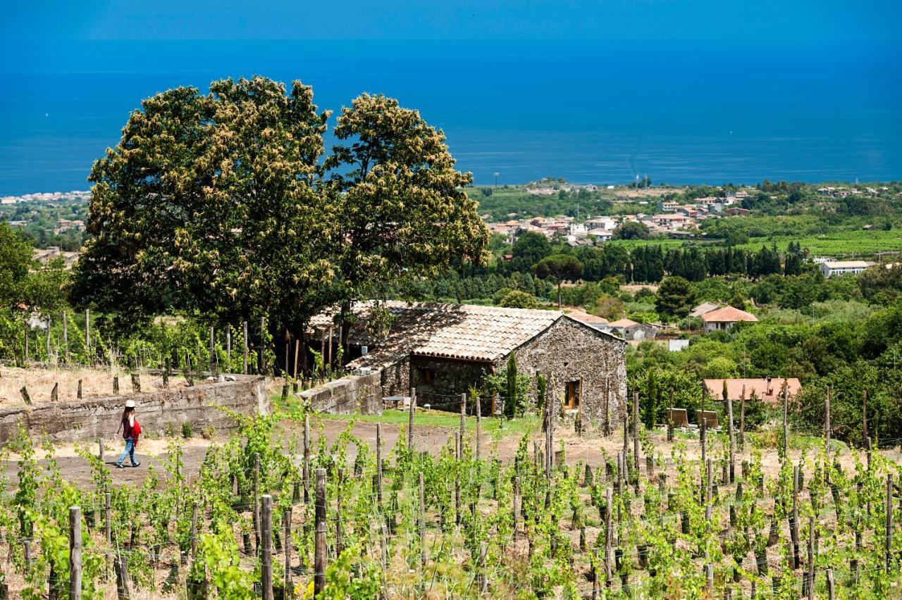 فندق Monaci Delle Terre Nere زافيرانا إتنيا المظهر الخارجي الصورة